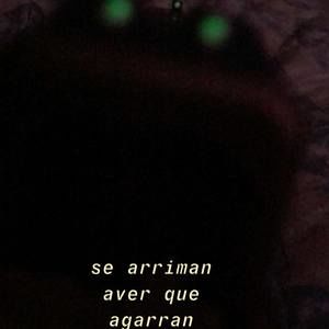 Meet your Posher, Samuel